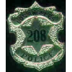 LOS ANGELES, CA POLICE DEPARTMENT LAPD ANTIQUE 208 BADGE PIN